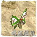 茶果蝶