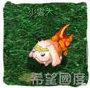 小雲犬